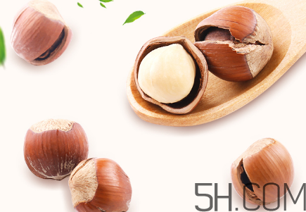 榛子可以天天吃嗎？榛子可以每天吃多少？