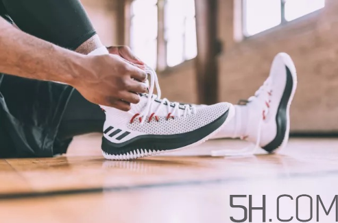 adidas dame 4多少錢？阿迪達(dá)斯利拉德四代上腳效果