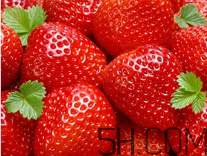 草莓都有哪些熱門品種？草莓怎么放不容易壞？