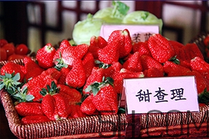 草莓都有哪些熱門品種？草莓怎么放不容易壞？