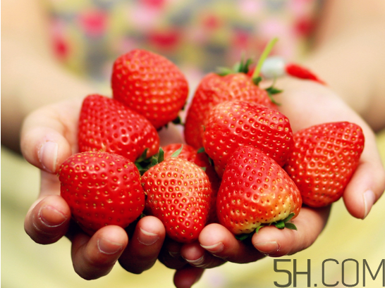 奶油草莓和巧克力草莓哪個(gè)更好吃？奶油草莓的區(qū)分