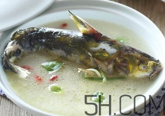 黃骨魚和鯽魚哪個好？黃骨魚和鯽魚的營養(yǎng)價值