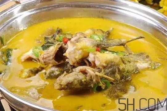 黃骨魚(yú)怎么處理？黃骨魚(yú)怎么清洗？