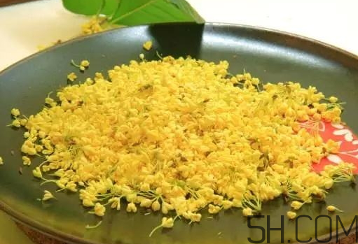 桂花可以放冰箱嗎？新鮮桂花可以放冰箱嗎？