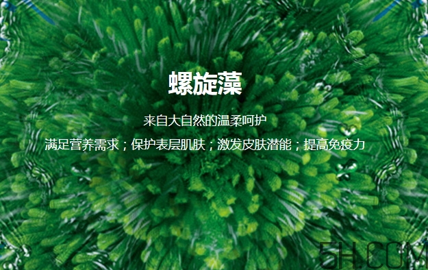 lantern蘭亭是什么牌子？蘭亭是哪個(gè)國家的什么檔次