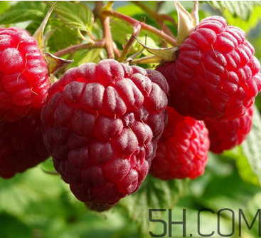 覆盆子有什么作用？覆盆子的營養(yǎng)價(jià)值