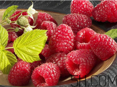 覆盆子的作用有哪些？覆盆子和桑葚哪個好吃？