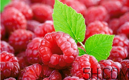 覆盆子茶什么時候喝？桑葚和覆盆子的區(qū)別