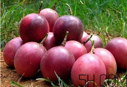 百香果幾月份的最好吃？百香果一次可以吃幾個(gè)？