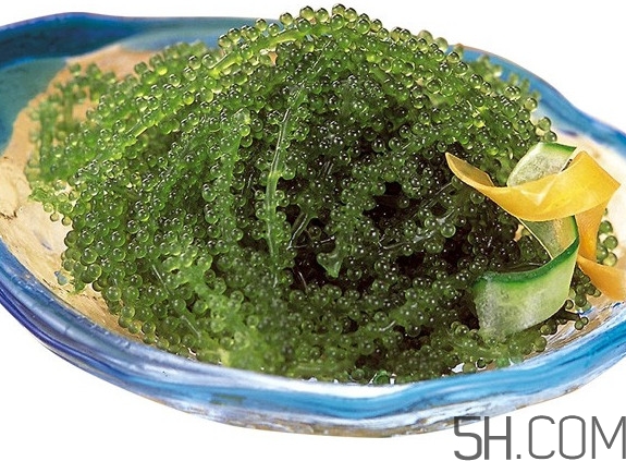 海葡萄好吃嗎？海葡萄怎么吃