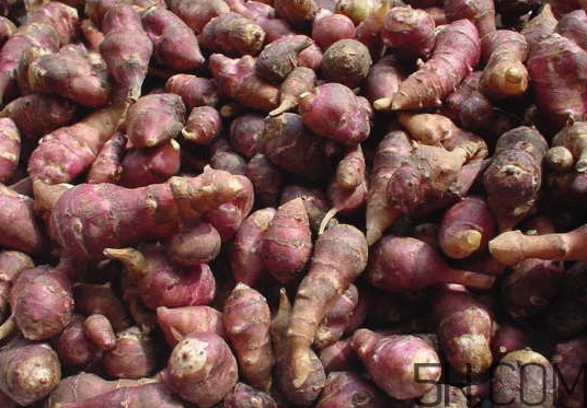 常吃鬼子姜有哪些危害？鬼子姜怎么吃