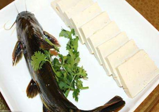 黃骨魚有刺嗎？黃骨魚有毒嗎？