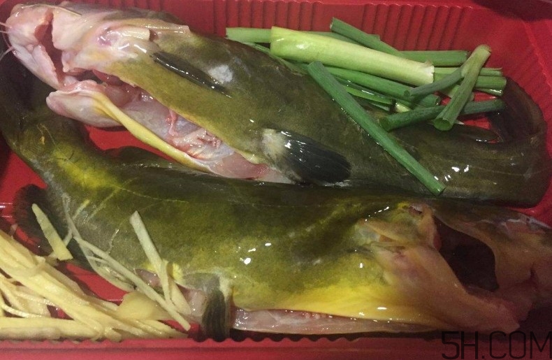 黃骨魚湯下奶嗎？黃骨魚湯的做法 