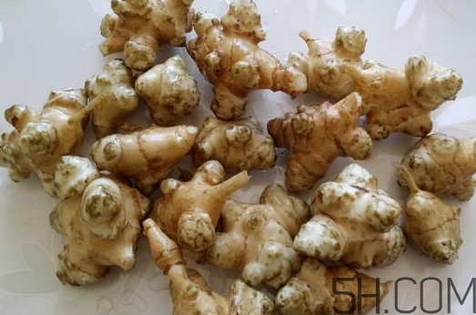 洋姜是什么時候成熟？洋姜是發(fā)物嗎