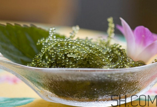 海葡萄好吃嗎？海葡萄怎么吃