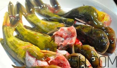 黃骨魚(yú)怎么處理？黃骨魚(yú)怎么清洗？