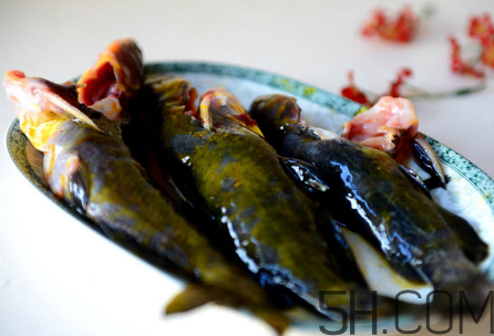 黃骨魚不能和什么一起吃？黃骨魚不適合什么人吃？