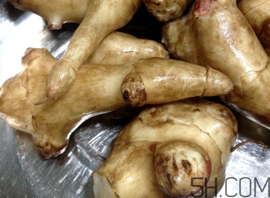 常吃鬼子姜有哪些危害？鬼子姜怎么吃