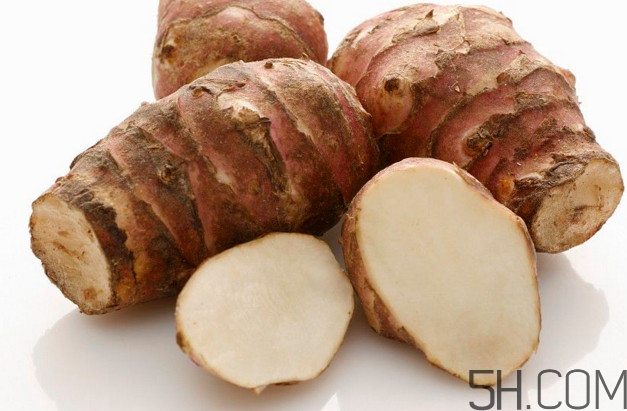 洋姜是生姜嗎？洋姜和生姜的區(qū)別