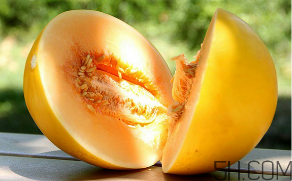 空腹可以吃哈密瓜嗎？哈密瓜爛一點(diǎn)其它的還能吃嗎？