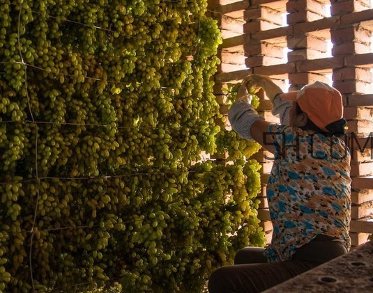 葡萄干怎么做的？葡萄干是酸性還是堿性