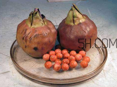 雞頭米什么人不能吃？雞頭米怎么挑選