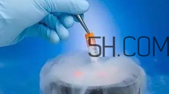 試管嬰兒有什么風(fēng)險？試管嬰兒長大后的弊端