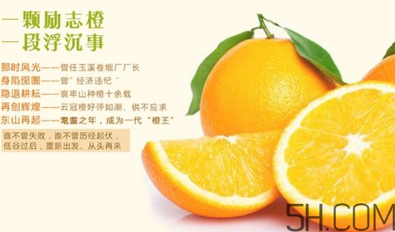 褚橙多少錢一斤？褚橙為什么這么貴