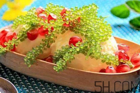 海葡萄有什么功效？海葡萄人工養(yǎng)殖條件