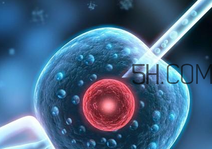 染色體異?？梢宰鲈嚬軏雰簡?？染色體異常能要孩子嗎？