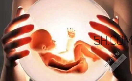 凍胚和鮮胚哪個成功率比較高？凍胚和鮮胚移植的優(yōu)缺點分別是什么？