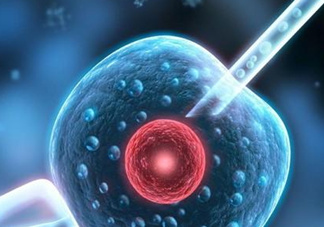 染色體異?？梢宰鲈嚬軏雰簡幔咳旧w異常能要孩子嗎？