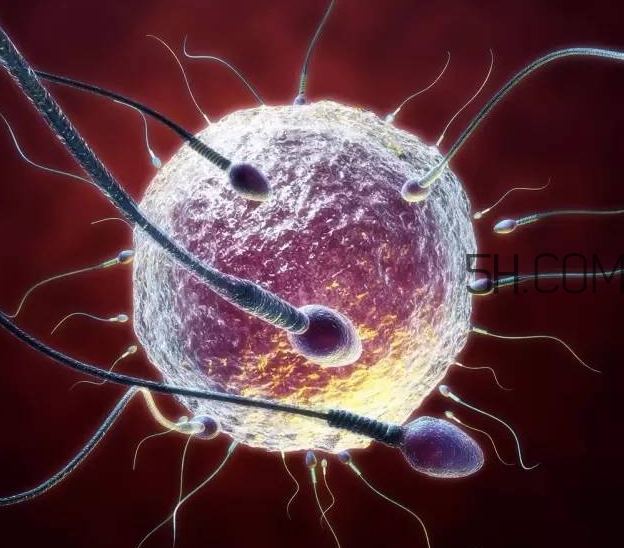 試管嬰兒有什么風(fēng)險？試管嬰兒長大后的弊端