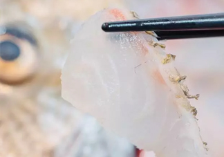 鯛魚怎么做？鯛魚是海魚還是淡水魚