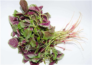 莧菜是酸性還是堿性？吃莧菜有什么好處？