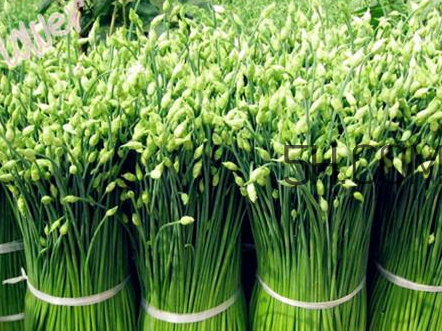 來(lái)月經(jīng)可以吃韭菜嗎？韭菜花的腌制方法