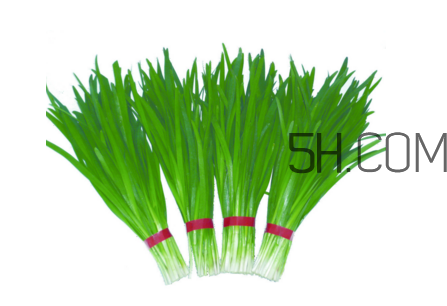 如何鑒別毒韭菜？吃野韭菜的營(yíng)養(yǎng)價(jià)值