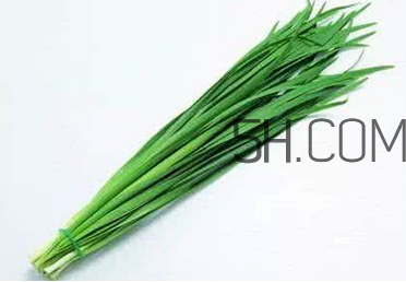 立秋后可以種韭菜嗎？怎樣種韭菜？