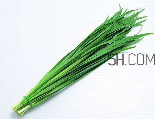 秋天吃韭菜好嗎？韭菜和莧菜能一起吃嗎？