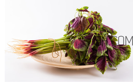 秋天吃韭菜好嗎？韭菜和莧菜能一起吃嗎？