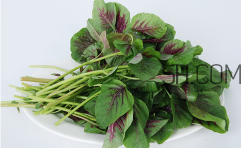莧菜為什么是紅的？莧菜是涼性的嗎？