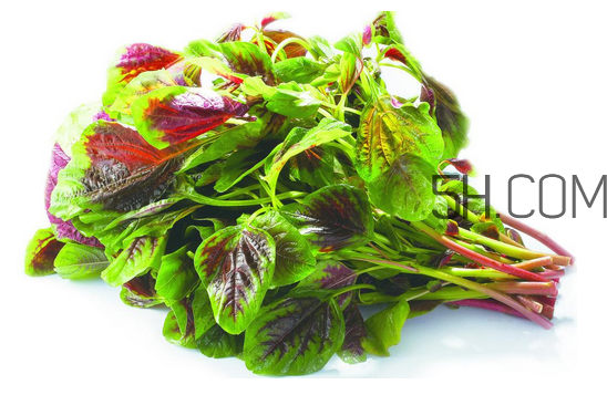 莧菜為什么是紅的？莧菜是涼性的嗎？