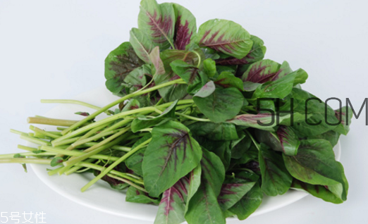 上火能吃咸莧菜嗎？寶寶能吃莧菜嗎？