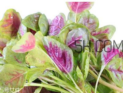 上火能吃咸莧菜嗎？寶寶能吃莧菜嗎？