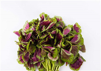 上火能吃咸莧菜嗎？寶寶能吃莧菜嗎？