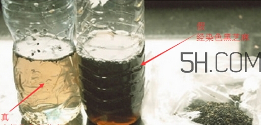 黑芝麻清洗掉色正常嗎？黑芝麻有黑色素嗎？