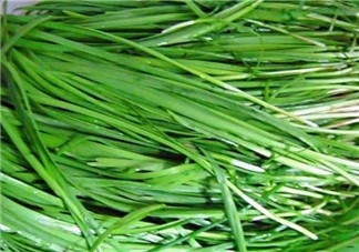 秋天吃韭菜好嗎？韭菜和莧菜能一起吃嗎？