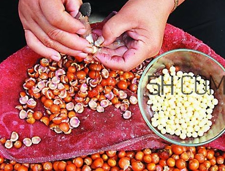 芡實有什么作用？芡實是哪里的特產(chǎn)