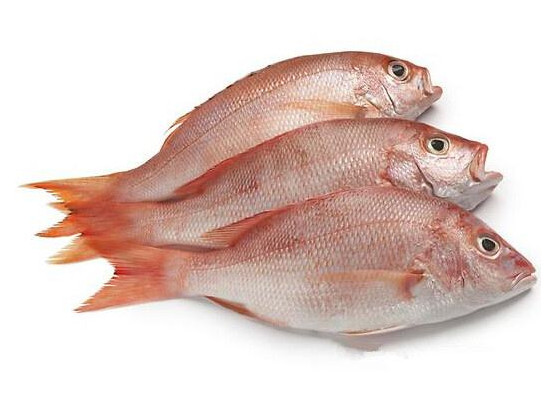 鯛魚多少錢一斤？鯛魚魚骨有什么營養(yǎng)價(jià)值