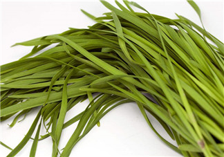 吃韭菜胃疼怎么回事？吃韭菜要注意的禁忌問題